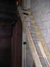 DSCN1319.jpg (47612 octets)